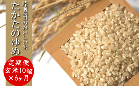 y6ցz ߘa7NY  10kg×6͂ i ̂ Ocs IWi uh ߂Ă