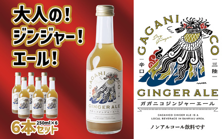 先行予約品[炭酸飲料] ガガニコジンジャーエール 6本セット (250ml×6本)[ 炭酸 飲料 ドリンク 飲み物 ノンアルコール ジンジャー 北限のゆず ゆず 生姜 ショウガ しょうが ]