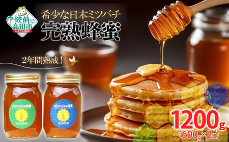 日本ミツバチ 蜂蜜のふるさと納税 返礼品 検索結果 | ふるさと納税