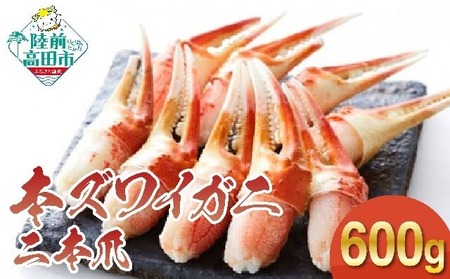 y{YCKjz{600gi300g×2pbNj y 킢 ނg 킢I YCI 킢 YC I Jj Jj I Jjܓ YCKj {C Ⓚ zRT1277