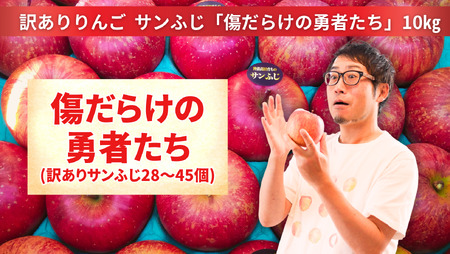 先行予約[訳あり品]傷だらけの勇者たち サンふじ 10kg [ りんご 旬 お届け 岩手 陸前高田 ]2024.11月以降発送予定