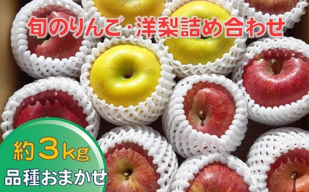 【清水農園】 旬のりんご(洋梨含む) 約3kg 品種おまかせ 1種～2種 【 リンゴ 林檎 洋ナシ 果物 フルーツ 期間限定 】 2024年8月下旬頃から順次発送