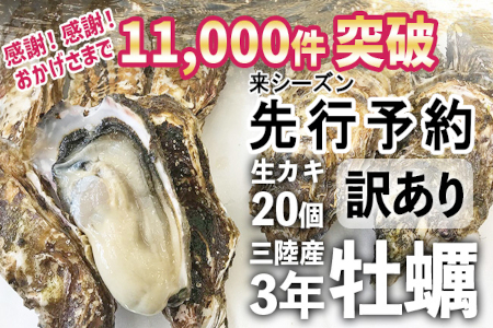 (先行予約)【訳あり規格外品】三陸広田湾の殻付き牡蠣20個 生食用【2022.11月以降発送】