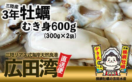 横綱牡蠣!吉田水産のむき身牡蠣 Mサイズ 600g(300g×2p) [ むき身 かき 大粒 小分け 加熱用 冷蔵 三陸 リアス海岸 広田湾 3年 ]RT2265 