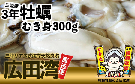 横綱牡蠣!吉田水産のむき身牡蠣 Mサイズ 300g おためし [ むき身 牡蠣 かき 大粒 小分け 加熱用 冷蔵 三陸 リアス海岸 広田湾 3年牡蠣 ]RT2648