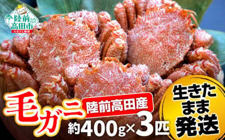 【毛ガニ 約400g×3匹】 陸前高田産 毛ガニ 生きたまま発送！ 【 かに カニ 魚介類 旬 鮮度抜群 産地直送 三陸産 】RT2660