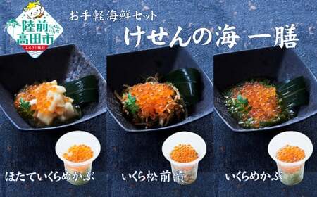 [お試し/特別価格]ご飯に合う 海鮮丼の具 けせんの海 一膳 3種セット [ほたていくらめかぶ / いくら松前漬 / いくらめかぶ ][ 今日の逸品 ご飯のお供 おつまみ カップ 小分け 海鮮 ]RT2797