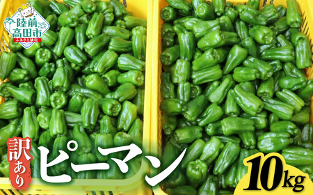 先行予約 訳ありピーマン 10kg 野菜 大容量 ピーマン
