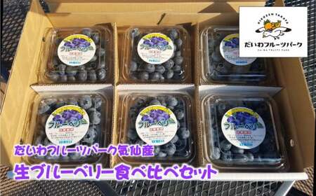 産地直送! 生ブルーベリー 200g×6個 計1.2kg だいわフルーツパーク気仙産 [ 果物 フルーツ ブルーベリー 品種おまかせ 食べ比べ 新鮮 ]