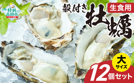殻付き牡蠣 大サイズ12個 [ 先行予約 牡蠣 貝 旬 三陸産 ]