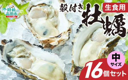 [先行予約] 生食用 殻付き牡蠣 中サイズ 16個セット 『一本松牡蠣』[ 天然 牡蠣 かき 殻付き 生食 大粒 旬 産地直送 国産 陸前高田 三陸産 広田湾産 気仙町 ]RT2849