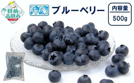 ブルーベリー 冷凍ブルーベリー 500g×1袋 果物 フルーツ ブルーベリー ブルーベリー ブルーベリー ブルーベリー ブルーベリー