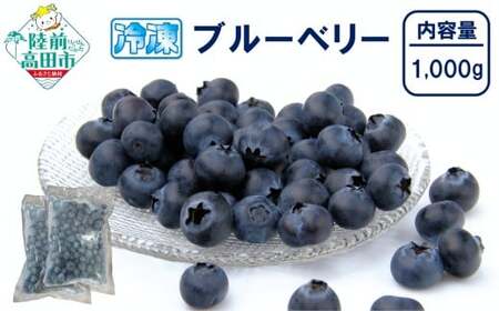 yʌz Ⓚu[x[ 500g×2 (v1,000g) i~bNX t[cp[N y Yn ʕ t[c u[x[ Hה [Og W z RT3012