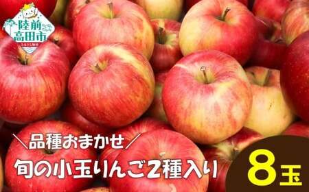 品種おまかせ★ 食べ比べが楽しい! 旬の 小玉 りんご 2種類 8個入り (家庭用) [ リンゴ 林檎 産地直送 訳あり セット 詰め合わせ ギフト ]