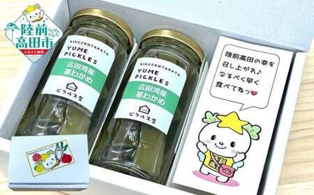 広田湾産茎わかめのピクルス 2本 たかたのゆめちゃん パッケージ ピクルス