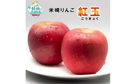 りんご 約3kg [品種:紅玉] 料理・お菓子におすすめ 加工用 米崎りんご