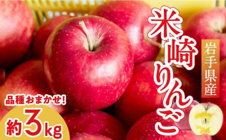 りんご 3kg [品種おまかせ] ★海の見えるりんご屋「つなぎ」★ 果物 3キロ 米崎りんご