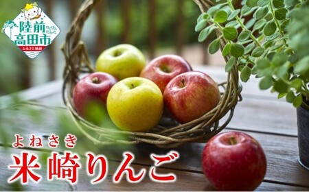 りんご 約2.5kg 品種おまかせ 果物 米崎りんご マルキヨファーム