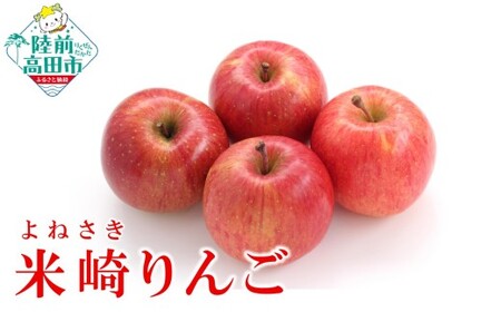 先行予約 りんご 約2.5kg [ 品種 ふじ ] 果物 米崎りんご マルキヨファーム