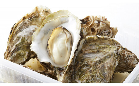 WŊȒPI y15Zbgqkty STCY10 MTCY5r