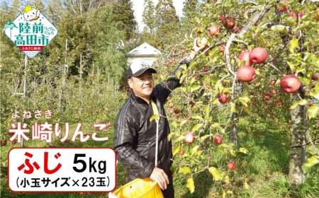 [事業者支援/完熟濃厚] 米崎りんご 品種:ふじ 小玉 約5kg 23玉 りんご