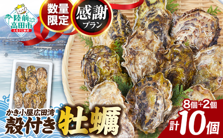 [数量限定/感謝プラン] 殻付き牡蠣8個+2個 計10個 生食用 かき小屋広田湾