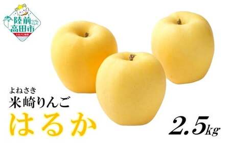 ��� �č��� 2.5kg �i�� �͂邩 �Y�n����