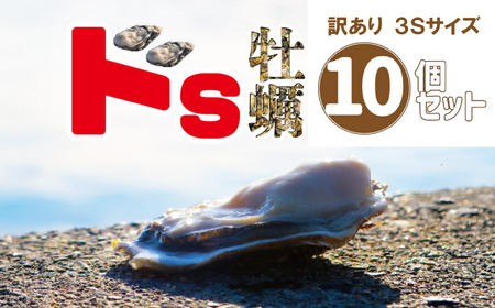 訳あり殻付き生牡蠣 3Sサイズ×10個 生食可 牡蠣