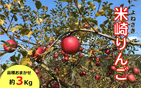 [先行予約]りんご 3kg 品種おまかせ 熊谷農園 果物 3キロ 米崎りんご