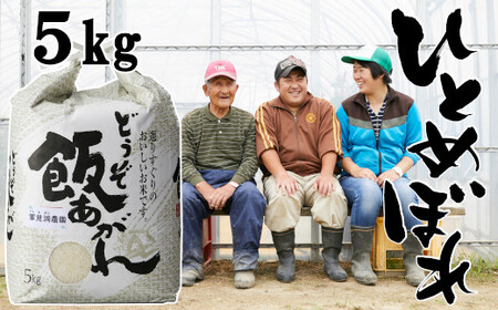 [令和7年産] ひとめぼれ 5kg 白米 軍見洞(ぐんみぼら)農園 [ 白米 精米 お米 東北 お弁当 おにぎり おむすび ]
