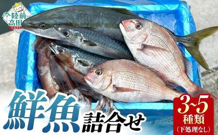 三陸産 鮮魚詰め合わせ(3〜5種類程度) 新鮮 旬 鮮魚セット