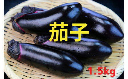 先行予約 農家直送! 茄子1.5kg(9本前後) 黒福 なす 茄子