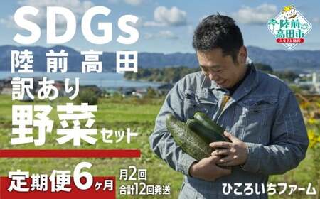 [6ヶ月定期便/毎月2回(合計12回)発送]訳あり 野菜セット 約3〜4種類 農家のおすそわけ 旬 野菜セット