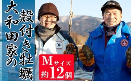【期日指定可】大和田家の殻付き牡蠣［Mサイズ／12個］（生食用）