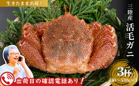 fn-40-015�y�o�בO�ɂ��d�b���܂��I�z ���уK�j 3�t (430g�`530g×3) �O���Y�y�ߘa8�N2����{�`4�������͂��z ���}�R�[�ЋˑN���X