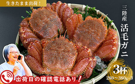 fn-40-003yoבOɂdb܂Iz уKj 3t (280`380×3) OYyߘa8N2{`4͂z}R[ЋˑNX