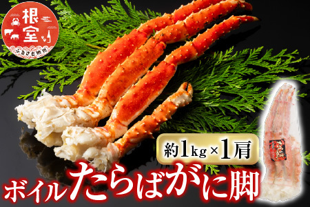 [1210ϕ܂ŔNz]{C΂ɋr1kg×1 F-11031