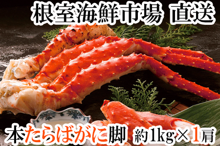 [1210ϕ܂ŔNz]{C΂ɋr1kg×1 F-14031