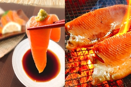 お刺身トラウトサーモン10～20本(計5kg)＆とろサーモンハラミ15～25枚(計5kg) E-09002