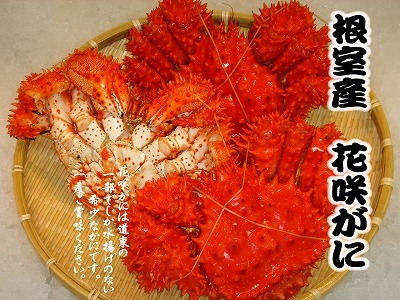 【北海道根室産】花咲がに500g前後×3尾(計1.5kg) ＜12月22日決済分まで年内配送＞ A-54013