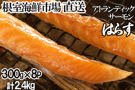 CNsꁃYÉT[nX(AgeBbNT[)300g×8P(v2.4kg) A-28236
