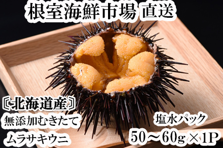 無添加むきたてムラサキウニ塩水パック50～60g×1P[5月下旬以降発送] G-11001