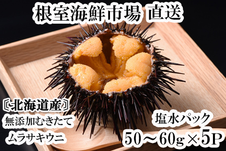 無添加むきたてムラサキウニ塩水パック50～60g×5P[5月下旬以降発送] C-11053