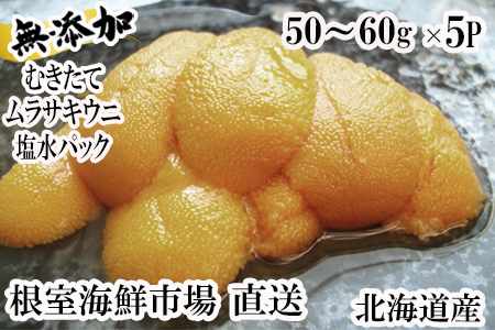 根室海鮮市場＜直送＞無添加むきたてムラサキウニ塩水パック50～60g×5P C-28054