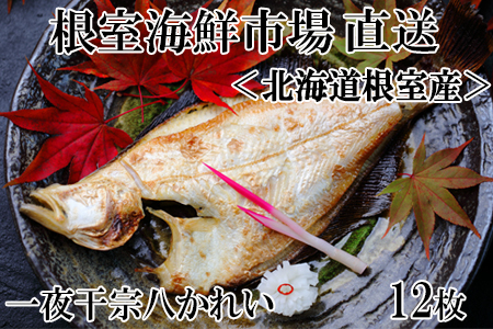 【北海道根室産】一夜干し宗八かれい12枚 G-11006