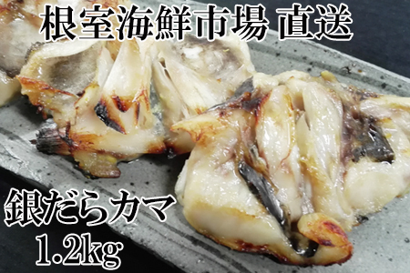 銀だらカマ1.2kg G-11008