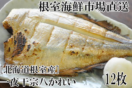 根室海鮮市場＜直送＞【北海道根室産】一夜干し宗八かれい12枚 G-28006