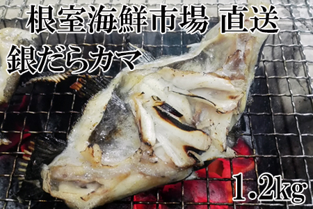 根室海鮮市場[直送]銀だらカマ1.2kg