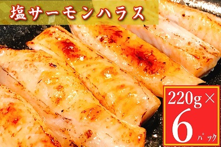 塩サーモンハラス220g×6P G-09005