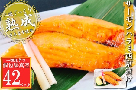 T[n~Ђ1×42P(^) C-09062